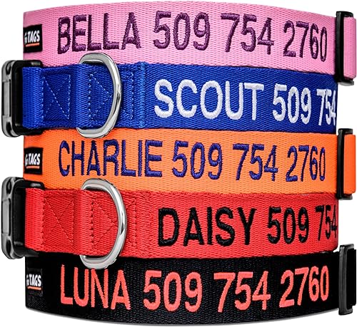 Collar para perros personalizado collares bordados con nombre de mascota y número de teléfono azul negro rosa rojo y naranja collares para perros