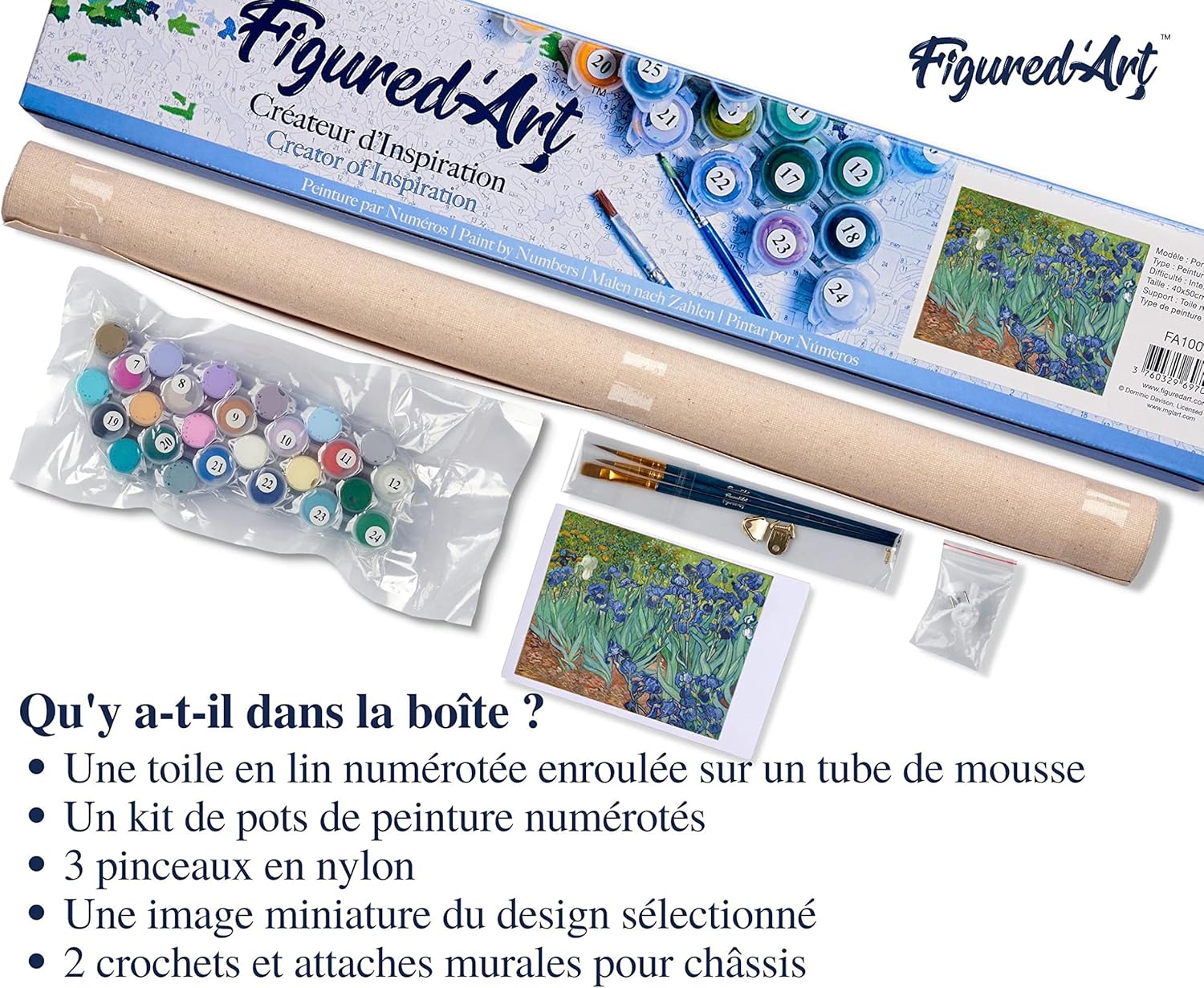Figured'Art Paint by Numbers for Adults Van Gogh Iris 16"x20" - Craft Art Painting DIY Kit Rolled Canvas Without Frame