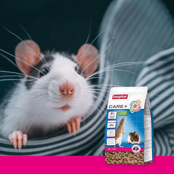 Beaphar - Care+ Pienso Super Premium - Comida para Rata - 1,5kg - Alto Valor energético - Buena digestión - Desgaste de los Dientes y Sin azúcares añadidos- Alimentación Extrusionada - 2