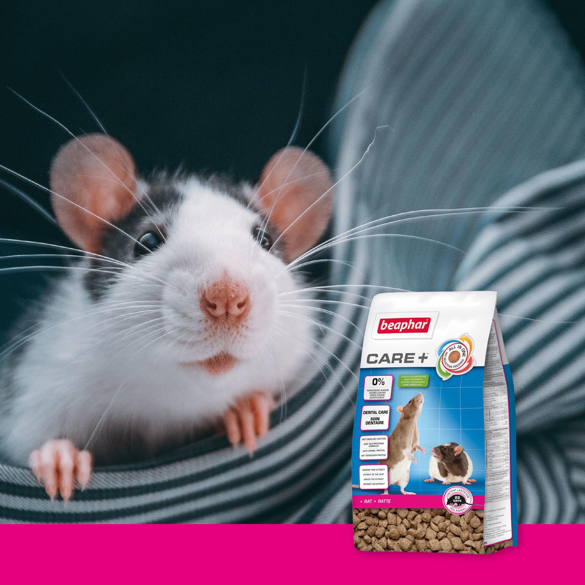 BEAPHAR – Care+ – Alimentation Super Premium extrudée pour Rat – Extrait de thé Vert – Proteines animales – Haute digestibilité – Participe à l’Usure Naturelle de Dents – sans sucres ajoutés – 700g