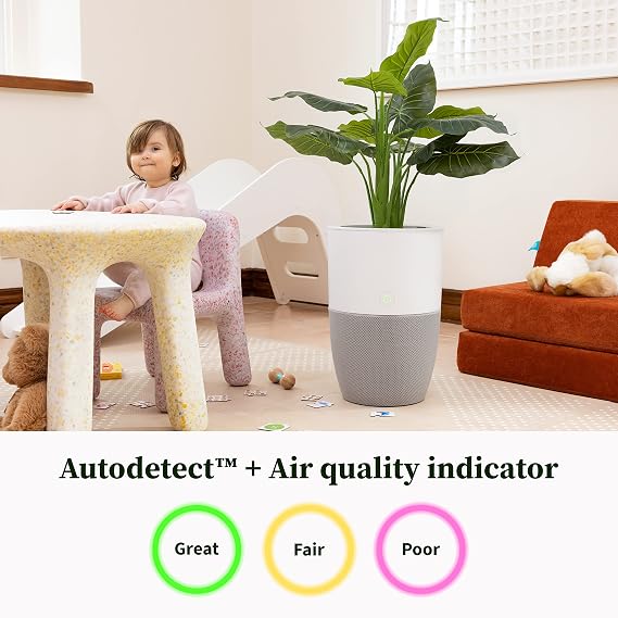 Dupray Bloom HEPA Air Purifier for Home, Large Room, Pets, Allergies, Odors