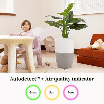 Dupray Bloom HEPA Air Purifier for Home, Large Room, Pets, Allergies, Odors