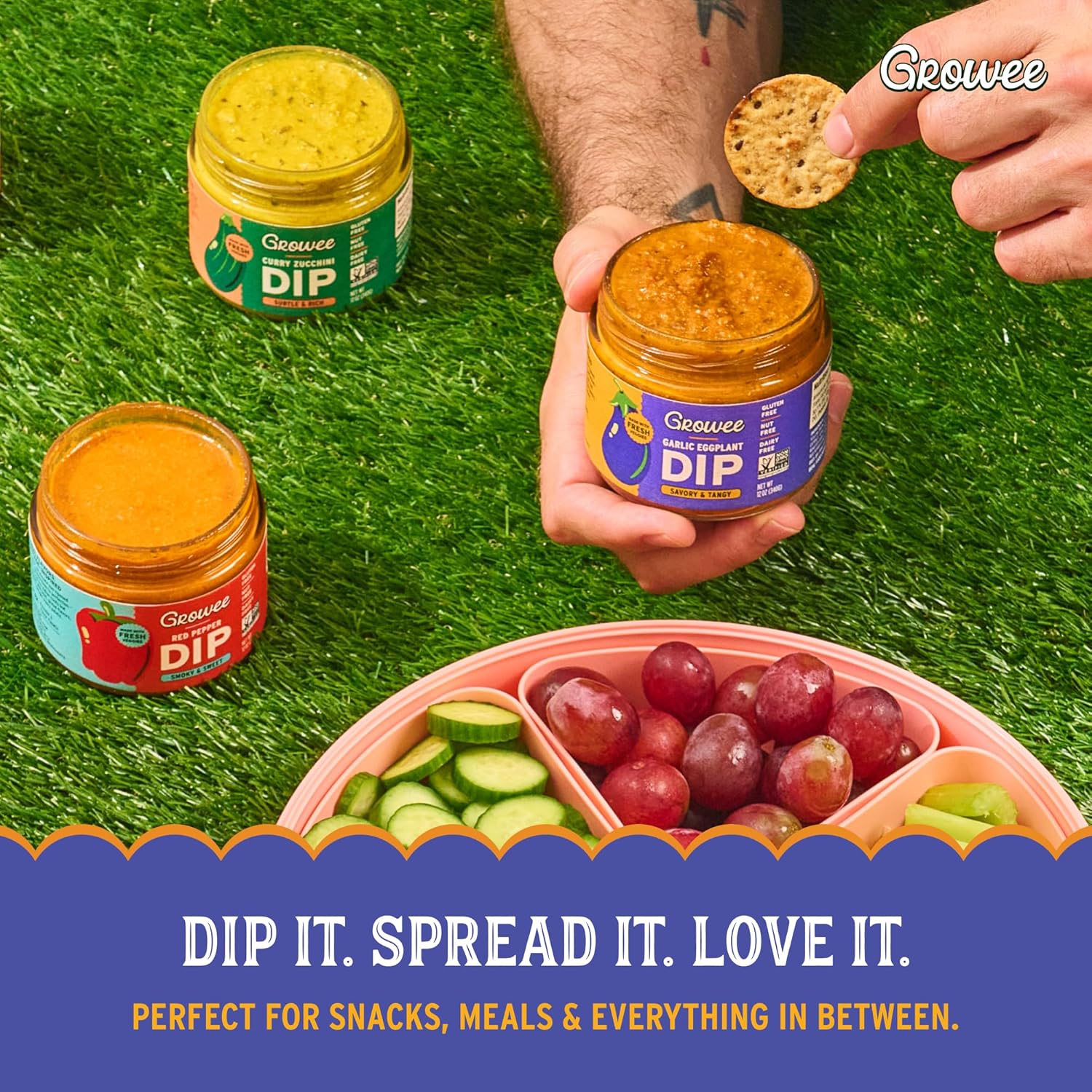 Growee Vegan Dip Pack – Plant-Based Queso & Hummus Alternative, Nut-Free Mayo & Dressing Substitute – Dairy-Free & Gluten-Free – 3 Flavor Variety: Red Pepper, Garlic Eggplant, Curry Zucchini