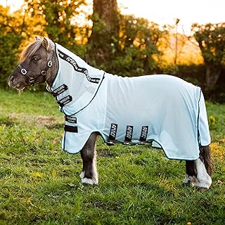 Amigo Petite Bug Rug 33 Blue/Black/White