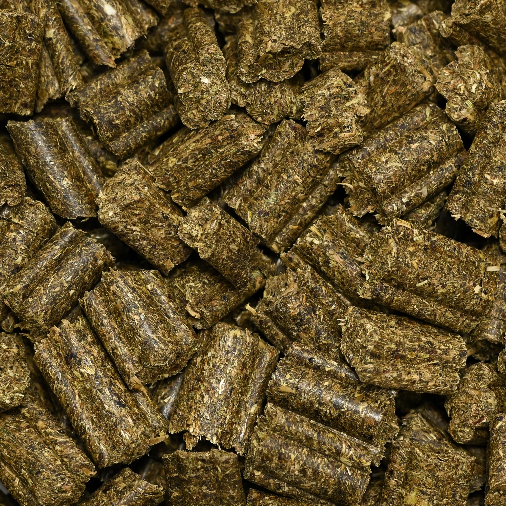 Bunny KaninchenTraum Erbe | 600 g | Alimento completo per conigli nani dai 6 mesi di età | 63 diverse piante ed erbe da prati non trattati | Miscela a 3 fibre