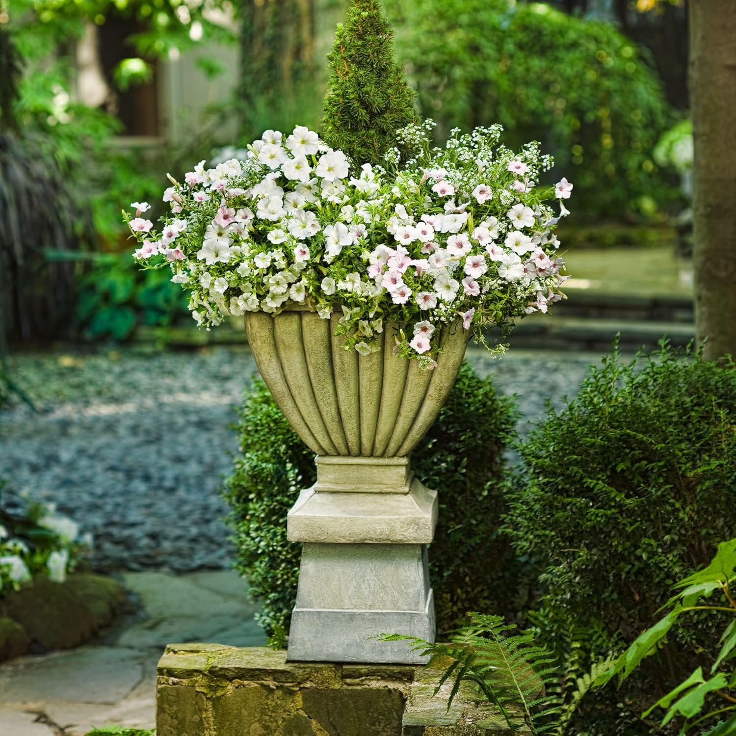 Proven Winners Superbells White Calibrachoa Live Plant, Eco+ Grande, 4 Pack