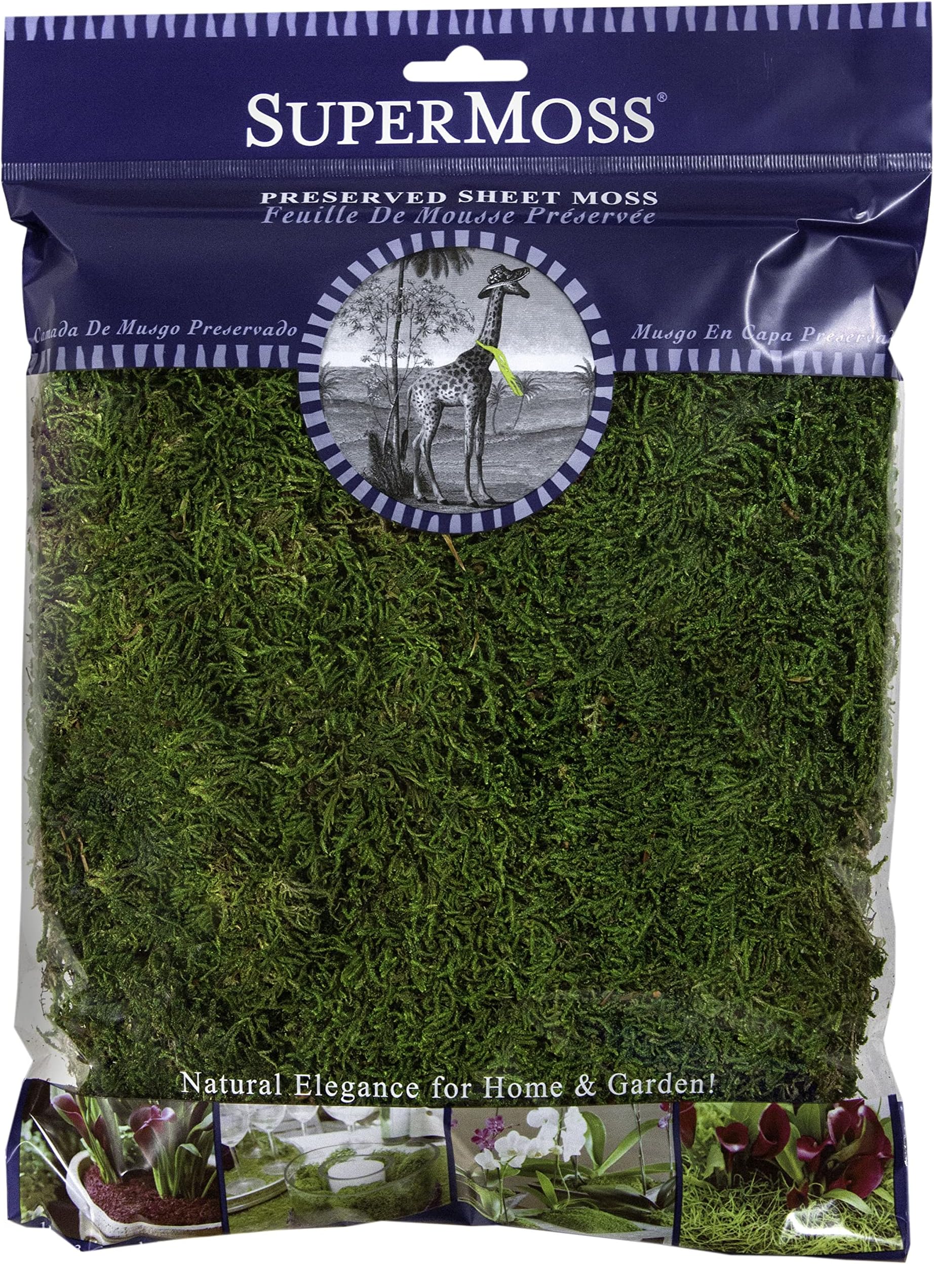 (21512) Preserved Sheet Moss, Fresh Green, 8oz (200 cubic inch)