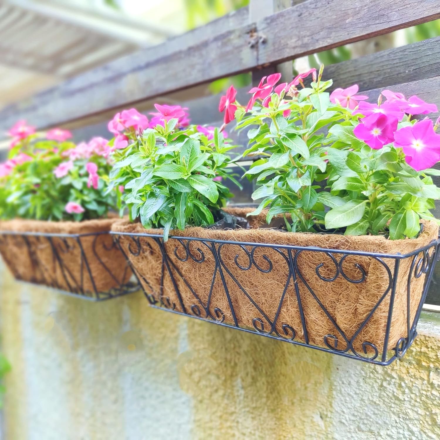 Maxona Bundle - 16" 2 Pack + 16" 2 Pack Wall Hanging Baskets with Coco Liner for Plant Holder Black Wire Flower Box Porch Railing Fence Box Window