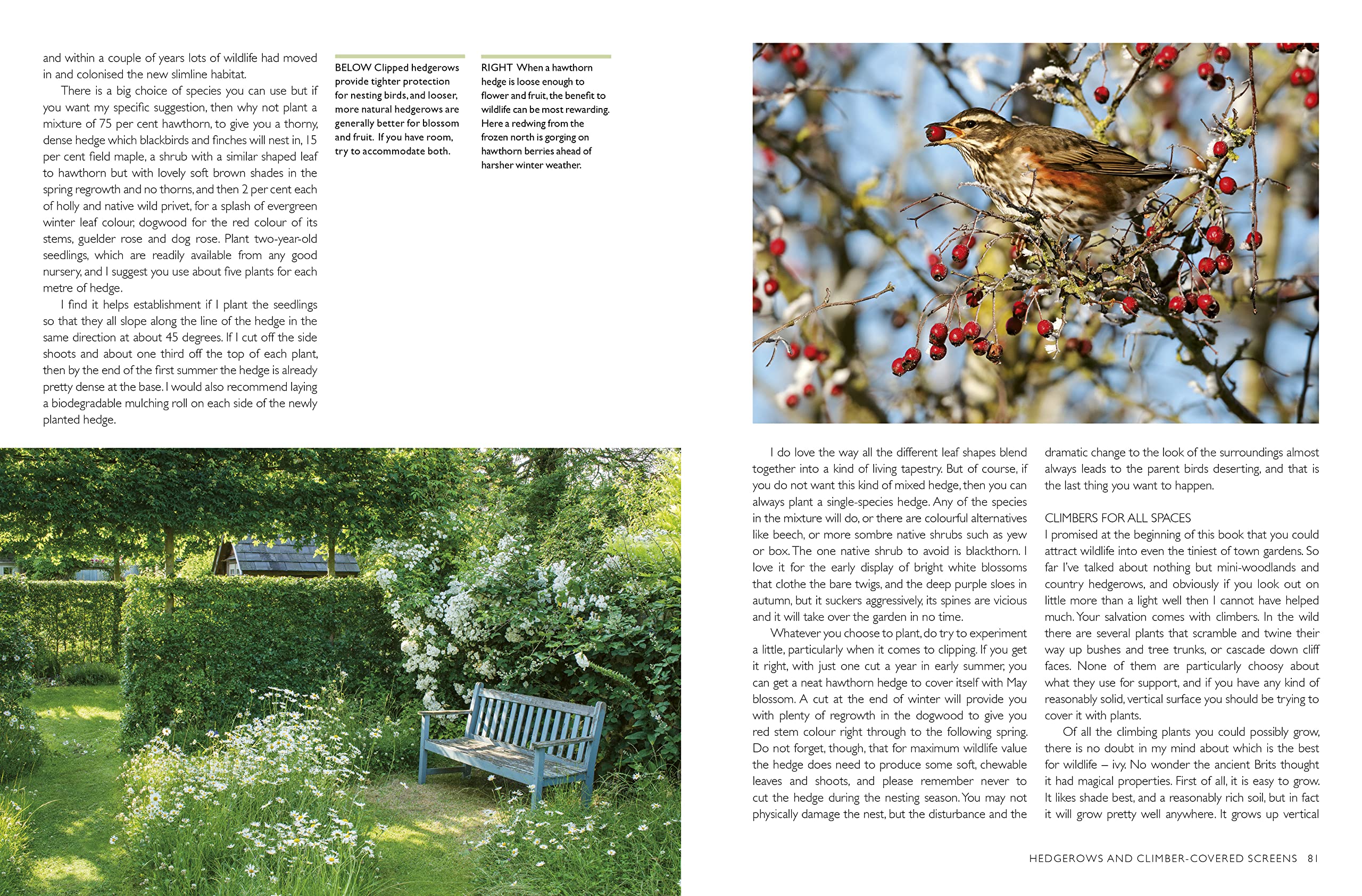 RHS Companion to Wildlife Gardening