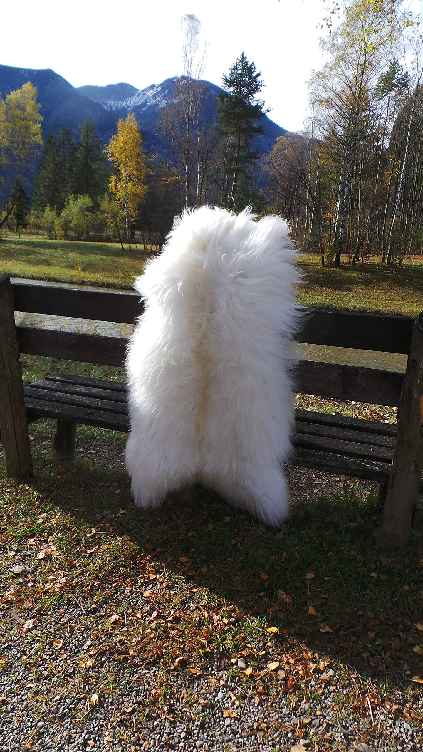 Peau de mouton mérinos véritable - 150-160 cm - Blanc - Tannage écologique