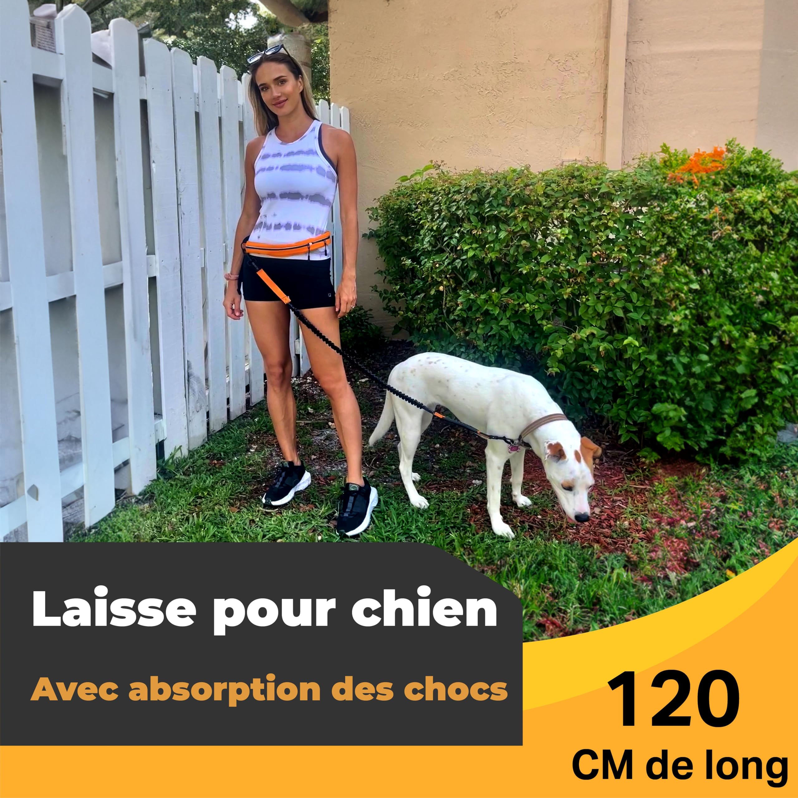Barkswell Laisse Canicross Chien - Baudrier Canicross - Ceinture Canicross - Laisse Main Libre