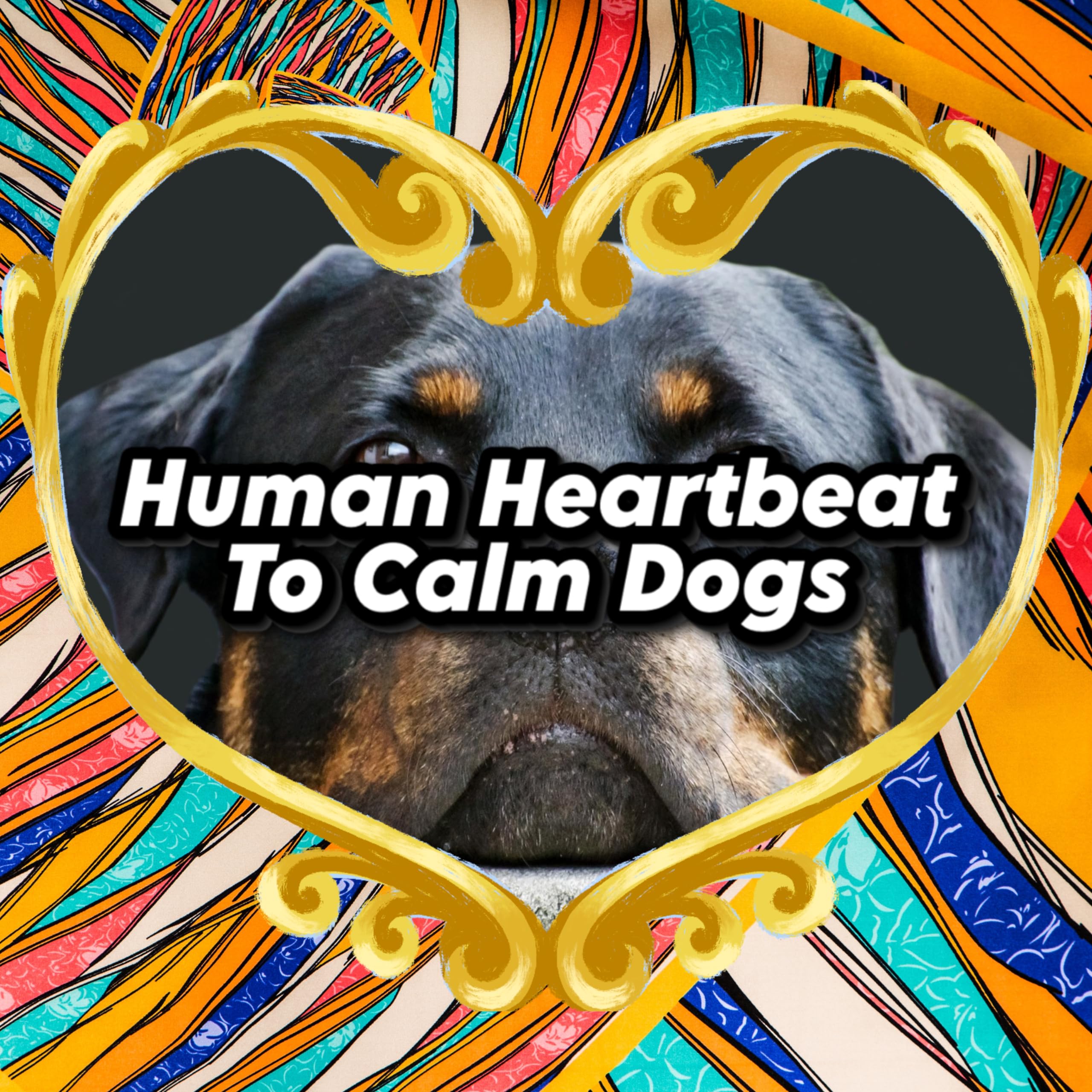 Human Heartbeat To Calm Dogs