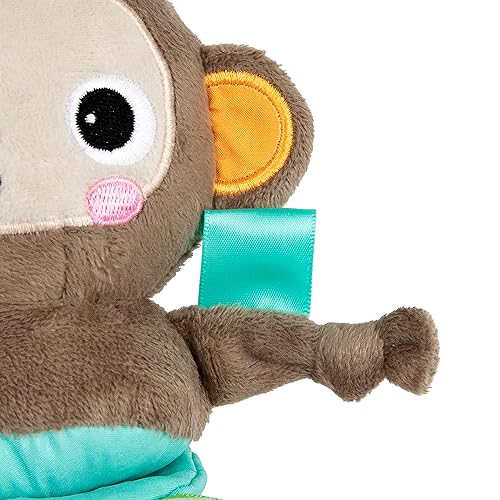 Miniatura 7 de Bright Starts Pull, Play & Boogie - Juguete de actividad musical para cochecito - Mono, unisex, recién nacido +