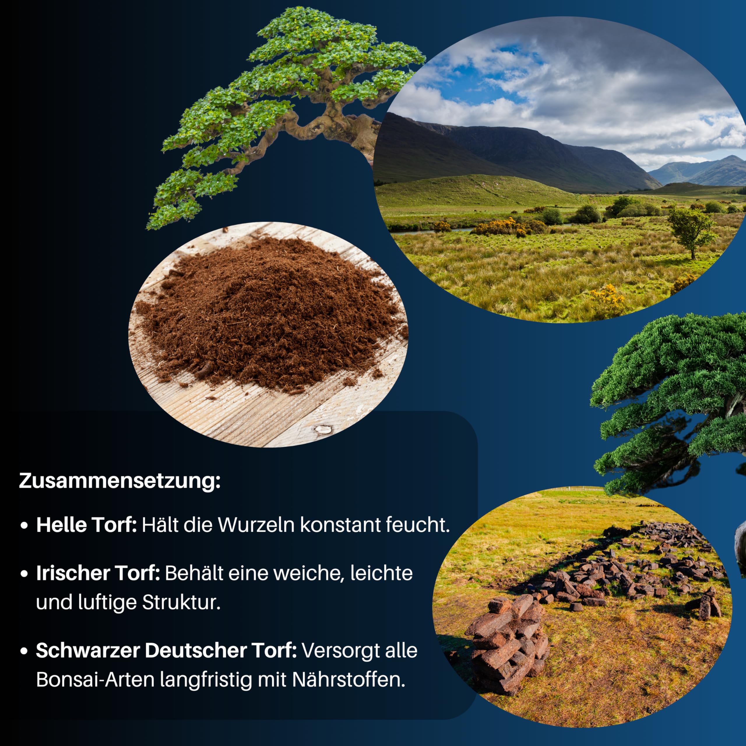 GebEarth - Bonsai Erde | Professionelles Bonsai Substrat fr strkere  Wurzeln und optimale Belftung 1L : Amazon.de: Garten