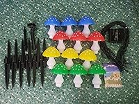 Review Image by Rena Rena