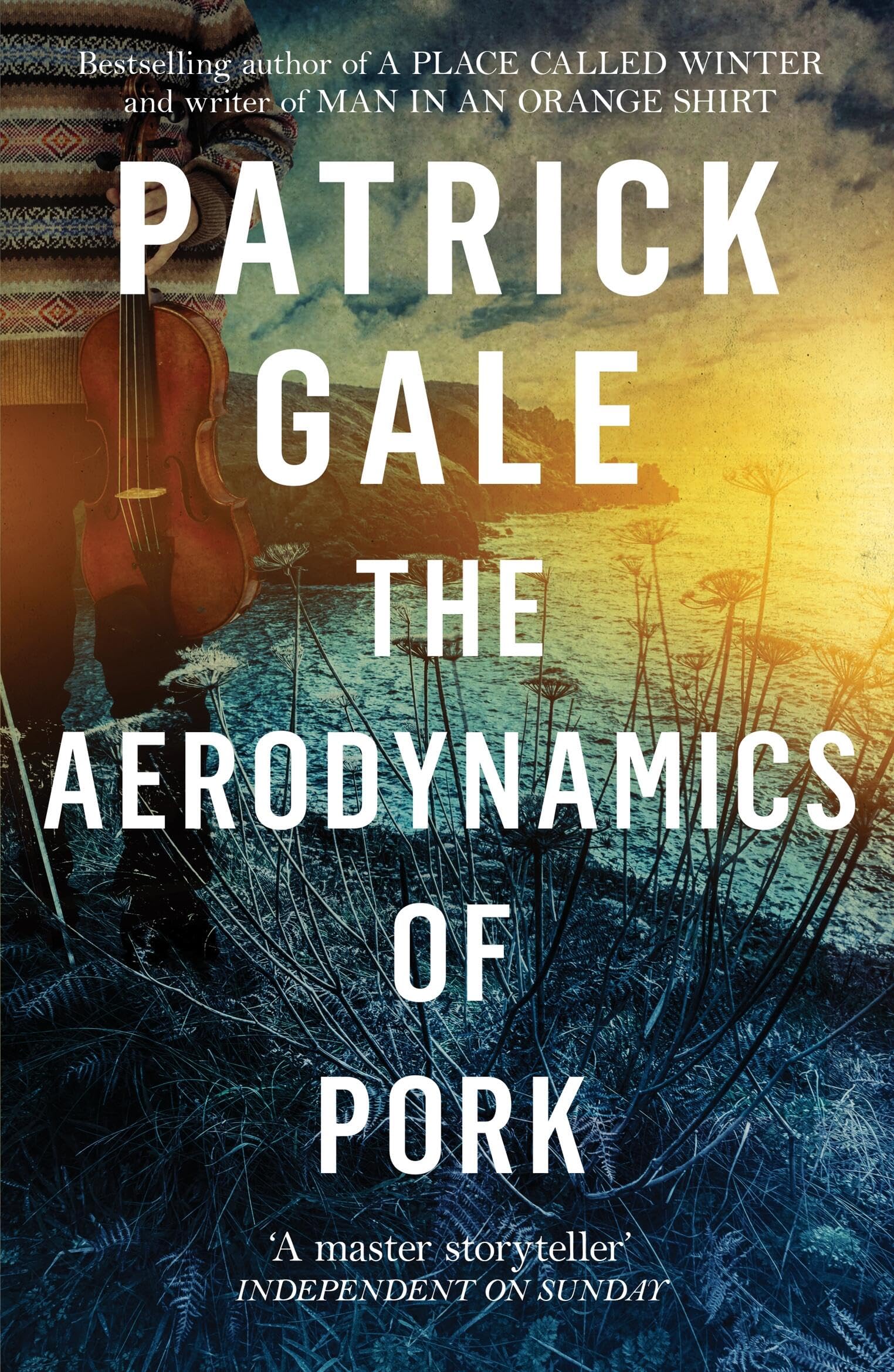 The Aerodynamics of Pork: A delicious debut novel of love, music and comedy, set in the early 1980s