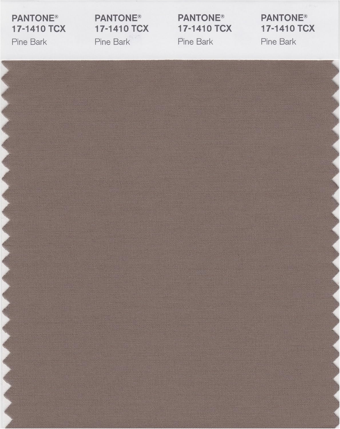 Pantone色見本スマートカード 17-1410X 1 パントン・カラー・オブ・ザ