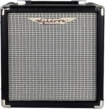 Amazon | Ashdown アッシュダウン 15W ベースアンプ D200 X W300 X