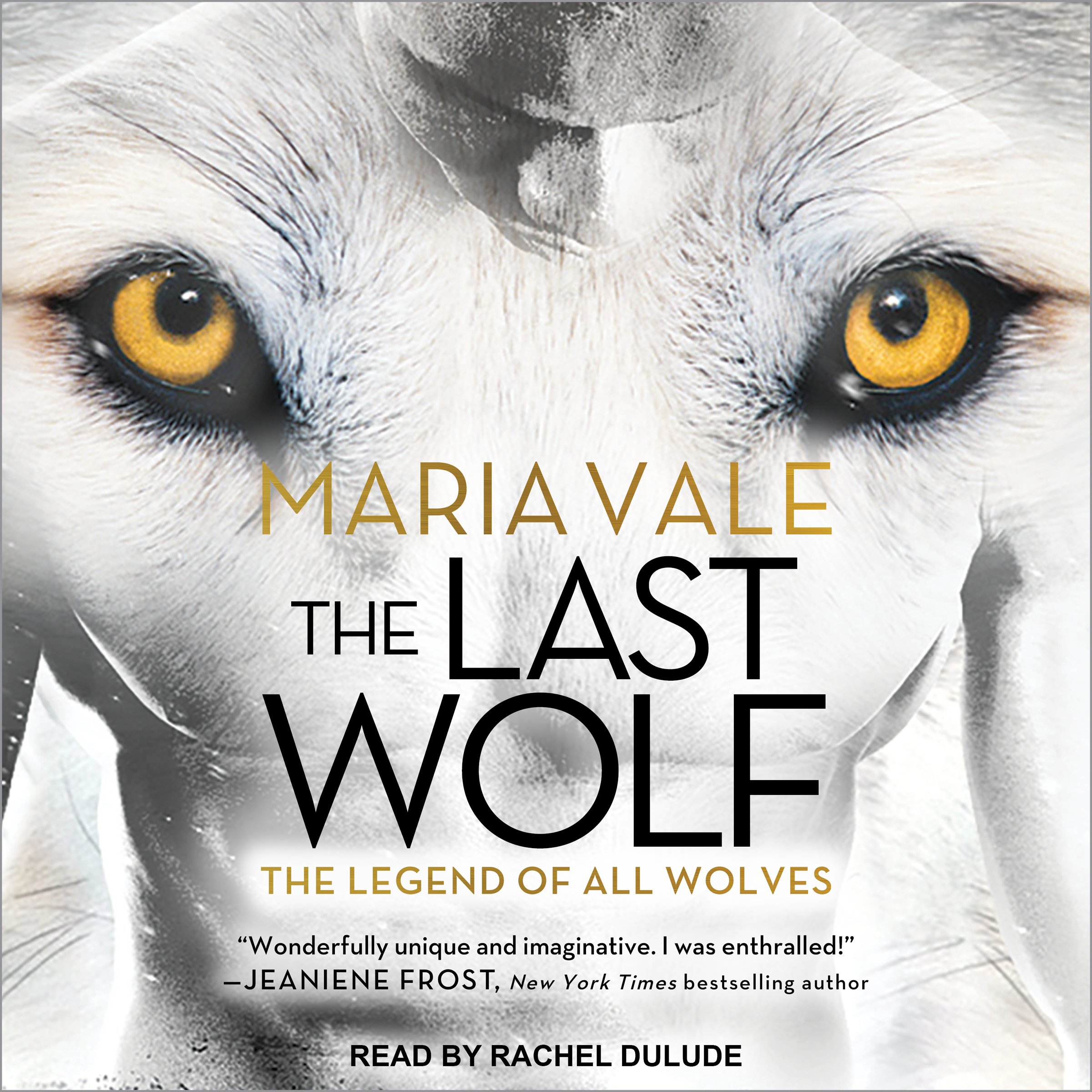Cover art for The Last Wolf