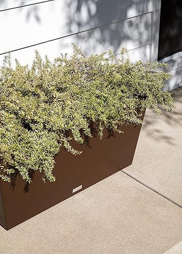 Miniatura 5 de Veradek Midori - Maceta larga