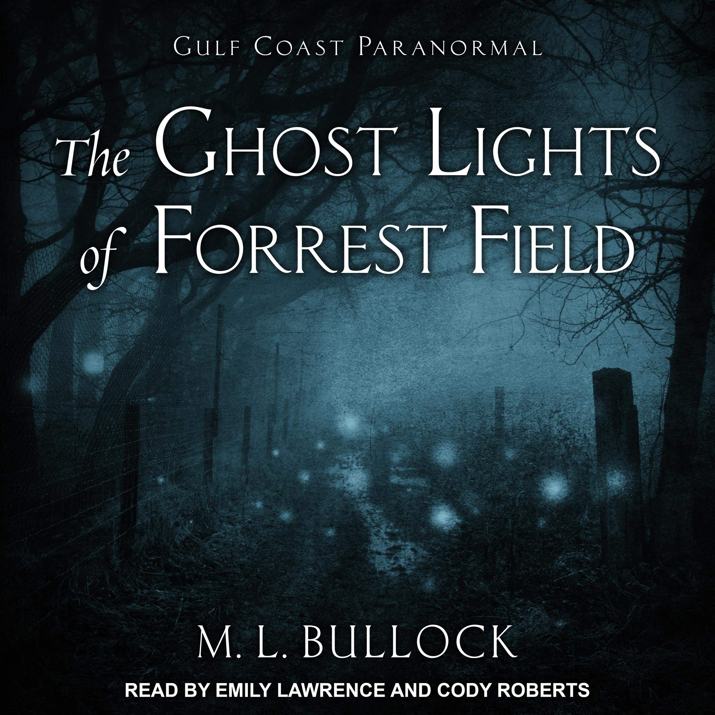 Cover art for The Ghost Lights of Forrest Field