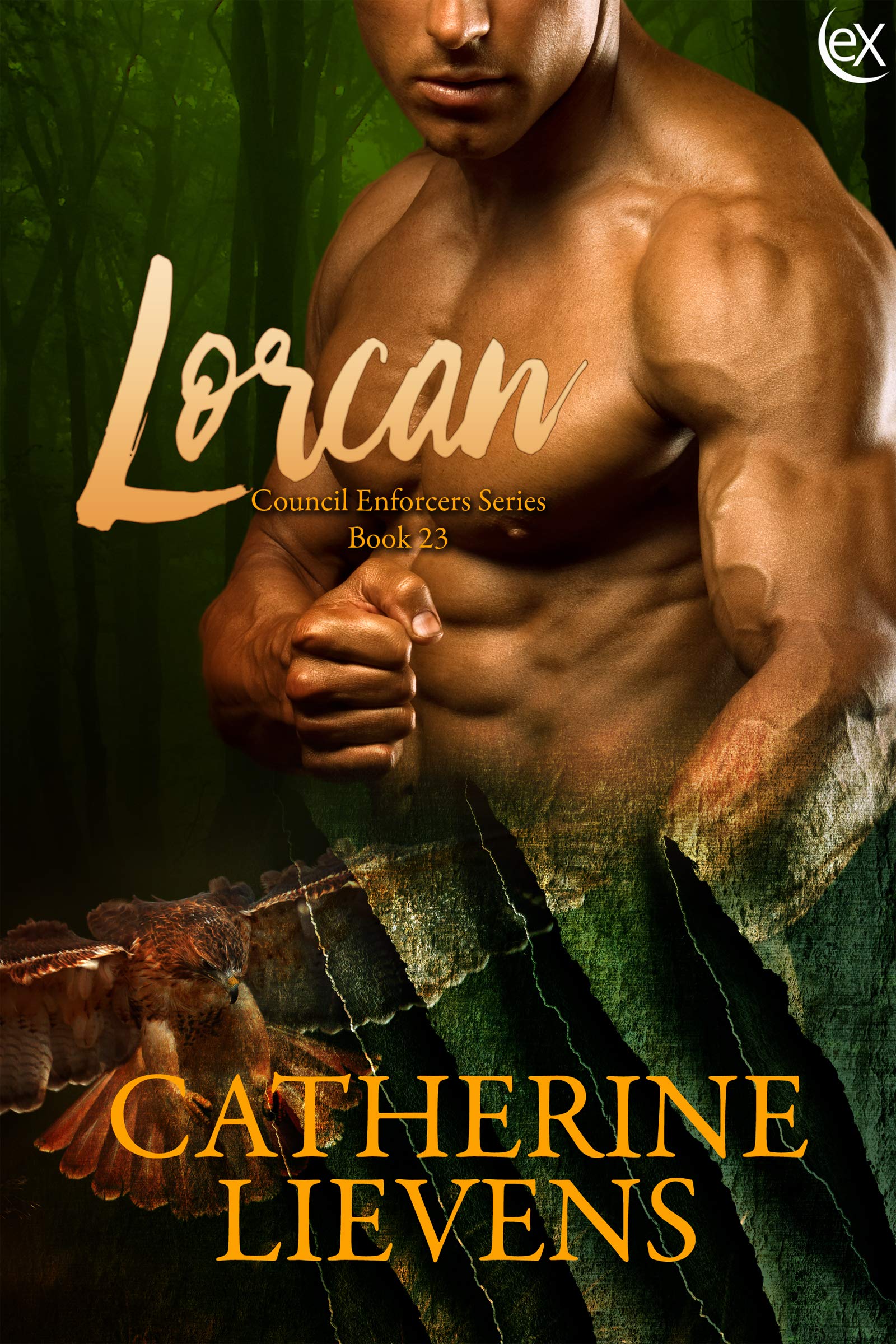 Lorcan (Council Enforcers Book 23)