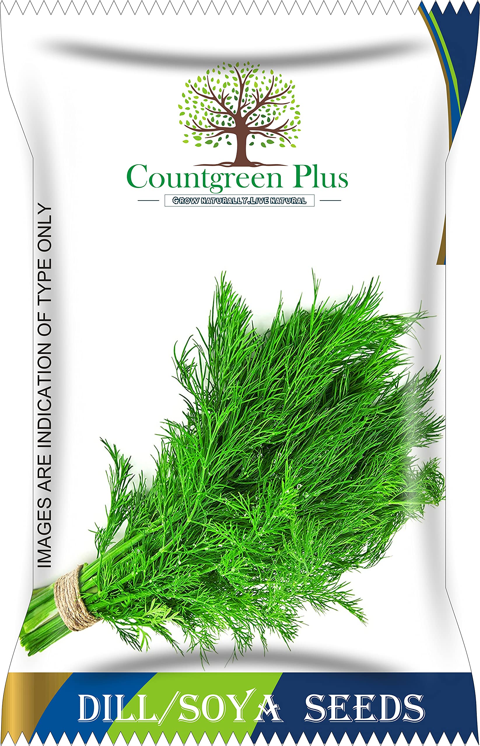 Countgreen Plus Dill (Soya) Exotic Vegetable Seeds – Premium High-Yield Variety for Home Gardening; Grow Fresh, Flavorful Exotic Vegetables with Ease – Pack of 500 Seeds (B0921MNN49) Amazon Price History, Amazon Price Tracker