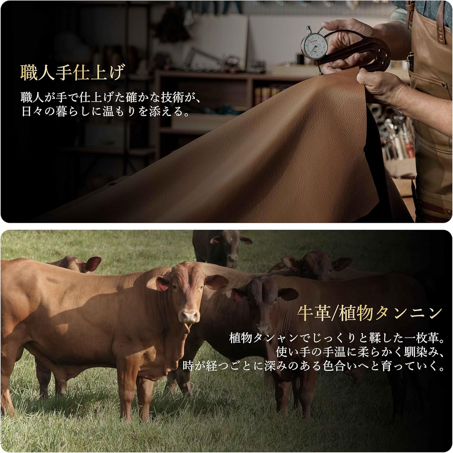 小銭入れ コインケース ギフト プレゼント ミニ財布 ヌバック 起毛革 カード入れ付き 【悲劇】 (牛革ヌバック, グリーン)