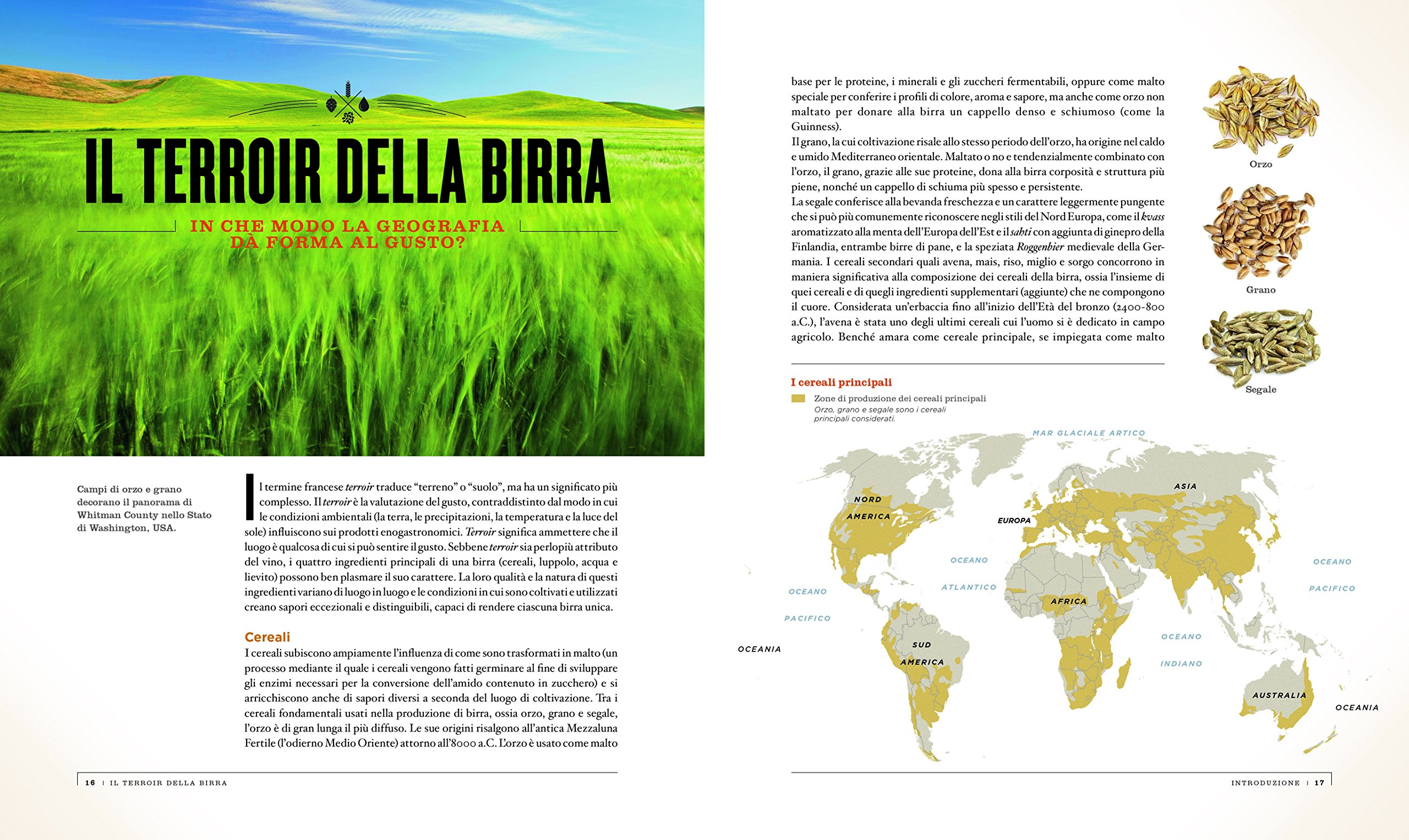 Atlante della birra. Un viaggio entusiasmante nel mondo della birra