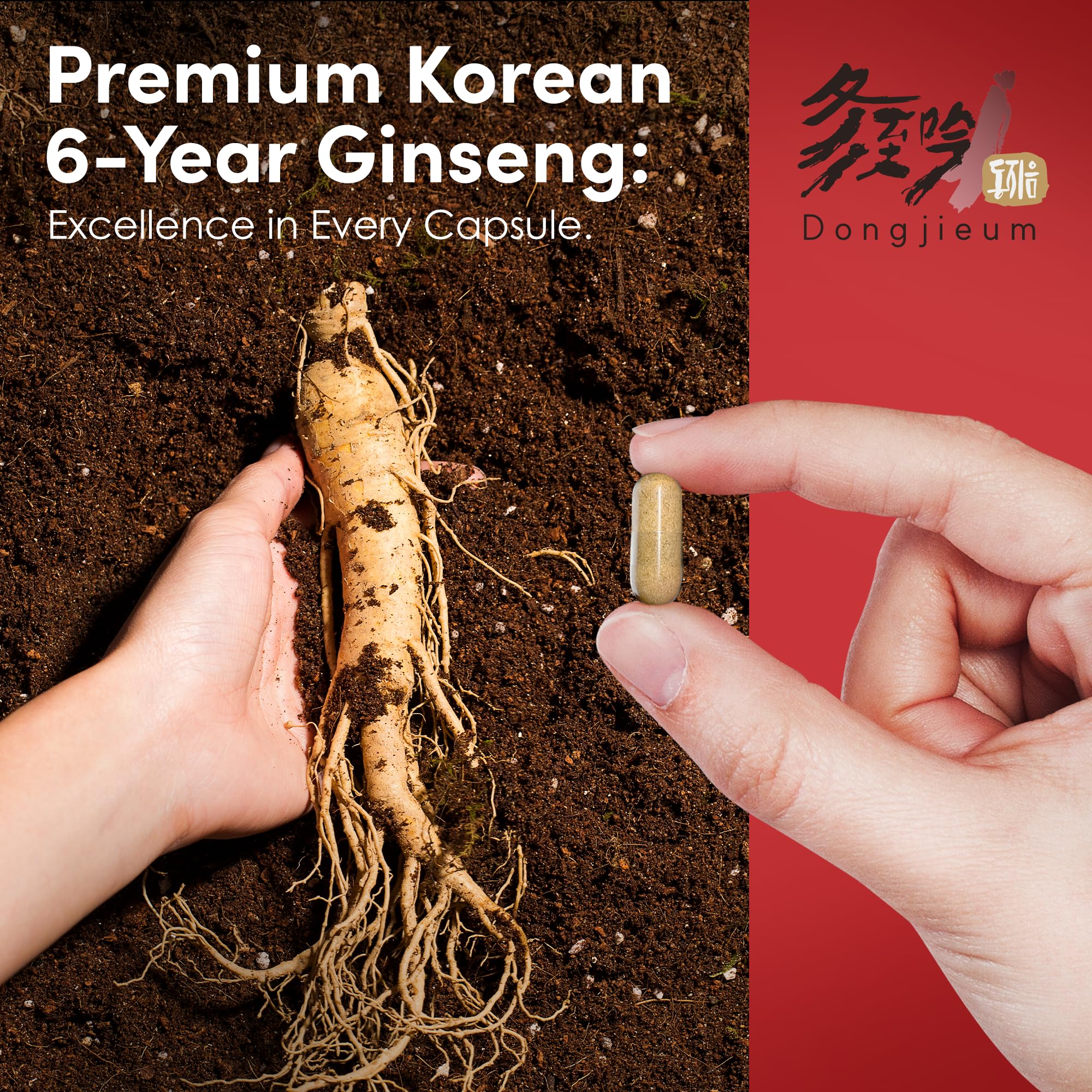Korean Red Ginseng (6-Year Root) (Enhanced Ginsenoside) 120 Vegan Capsules — Amazon image 5