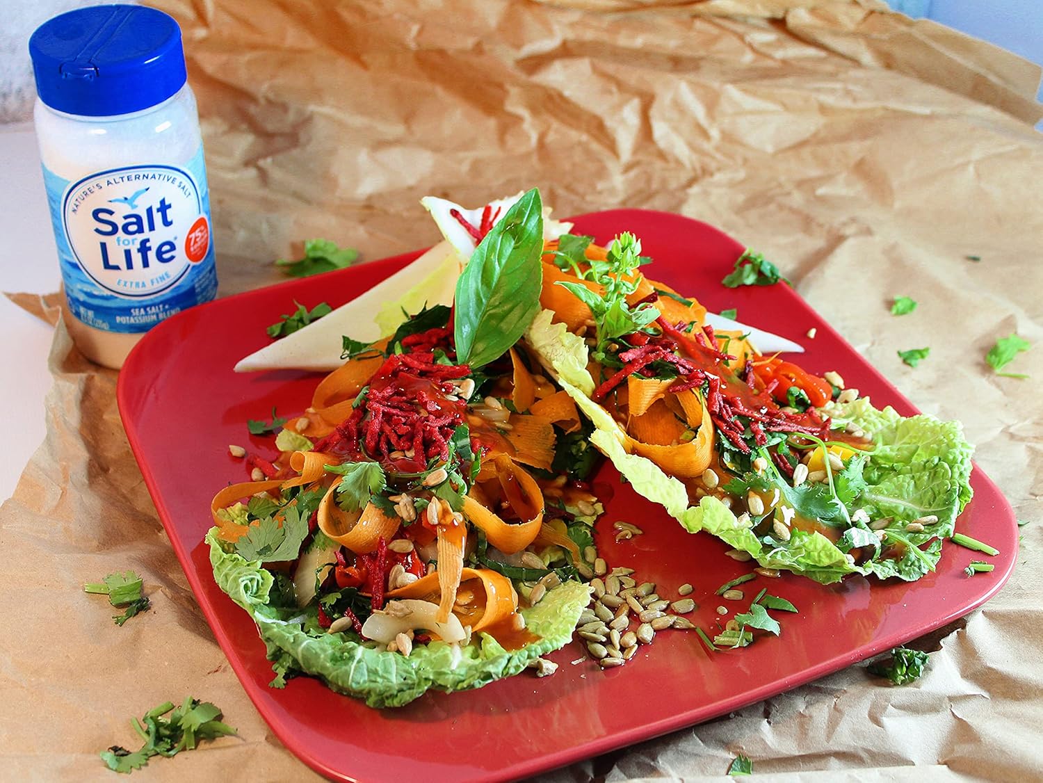 Salt For Life Salt Substitute - 10.5 oz. - Tasty Low Sodium Salt & Potassium Salt Substitute for High Blood Pressure - The Top Salt Substitute With Real Salt-Taste and Salt Alternative! : Grocery & Gourmet Food