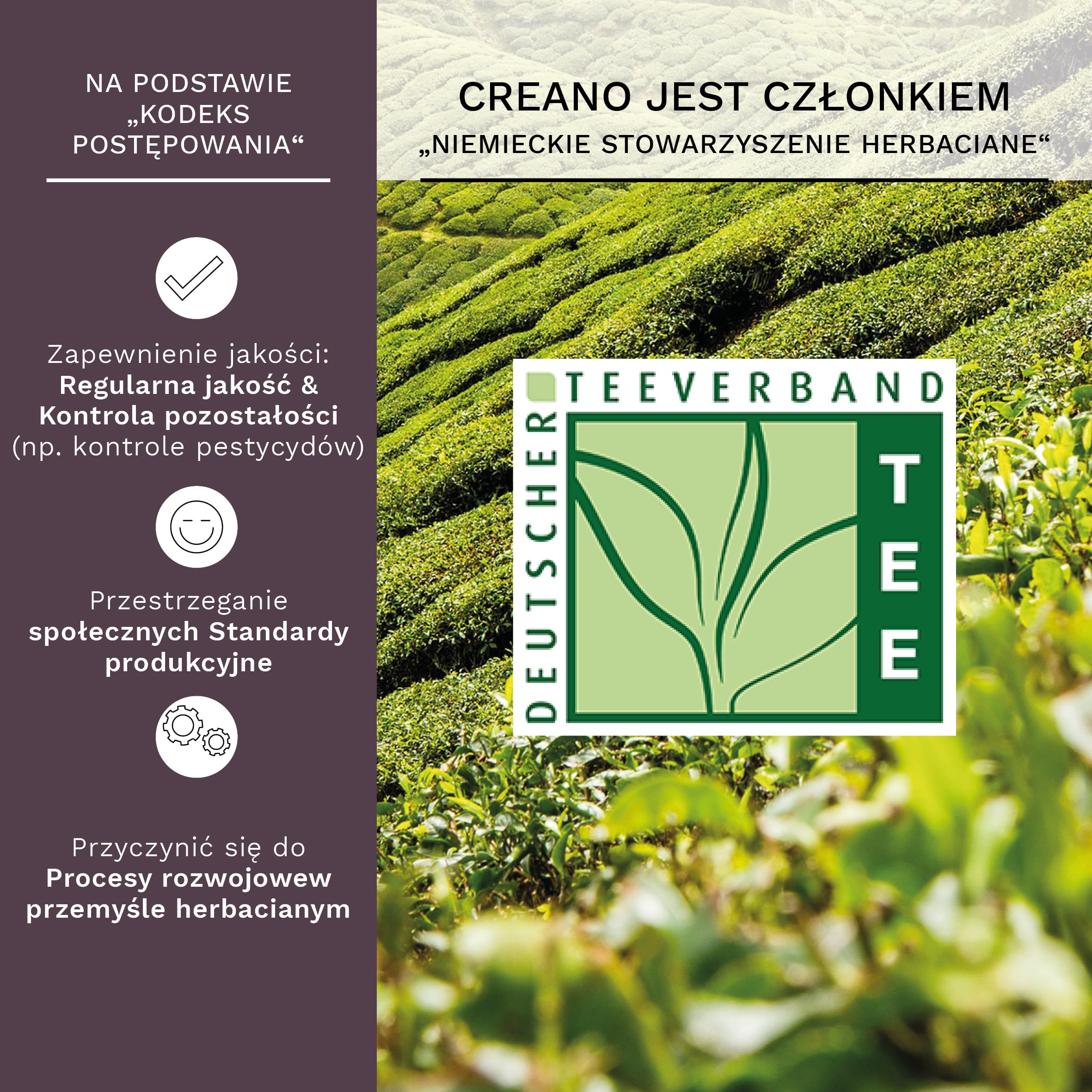 Creano - 36 kwiatów herbaty w ekskluzywnym formacie kubka - opakowanie zbiorcze - czarna herbata