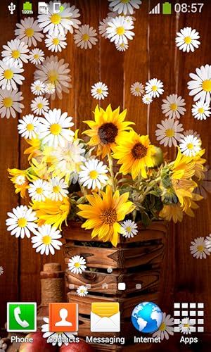 Papéis de Parede de Girassol