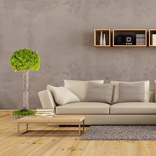 Miniatura 8 de Plantas reales sin riego, diseño artístico de musgo preservado y decoración, arreglo de plantas verdes naturales para interiores para el hogar y la