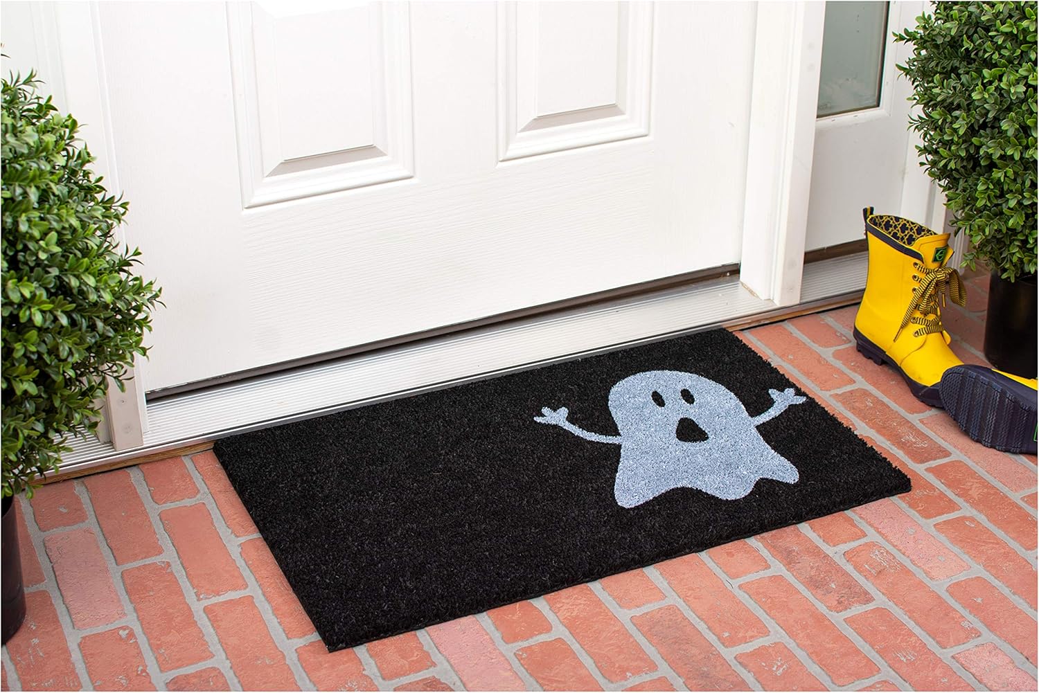 Calloway Mills 102001729 Ghost Doormat, 17" x 29", Black/White
