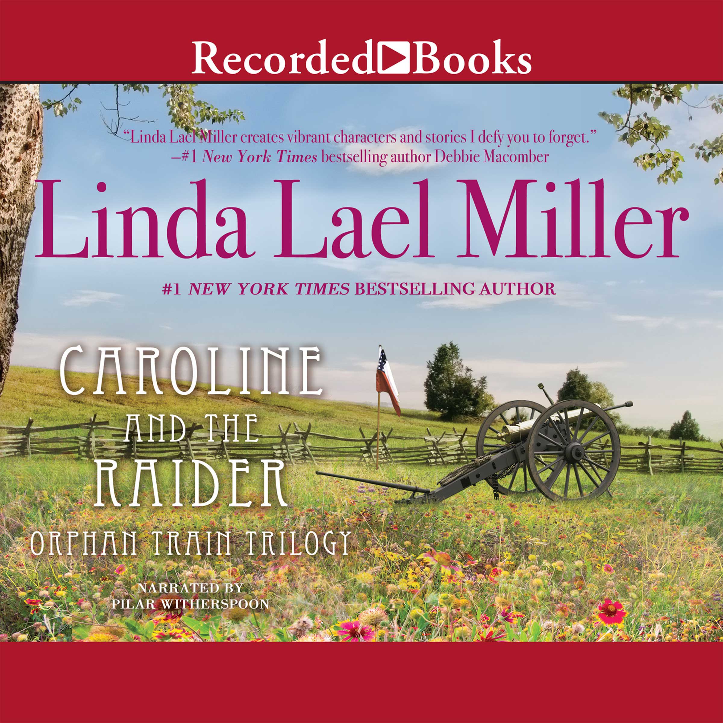 Cover art for Caroline and the Raider