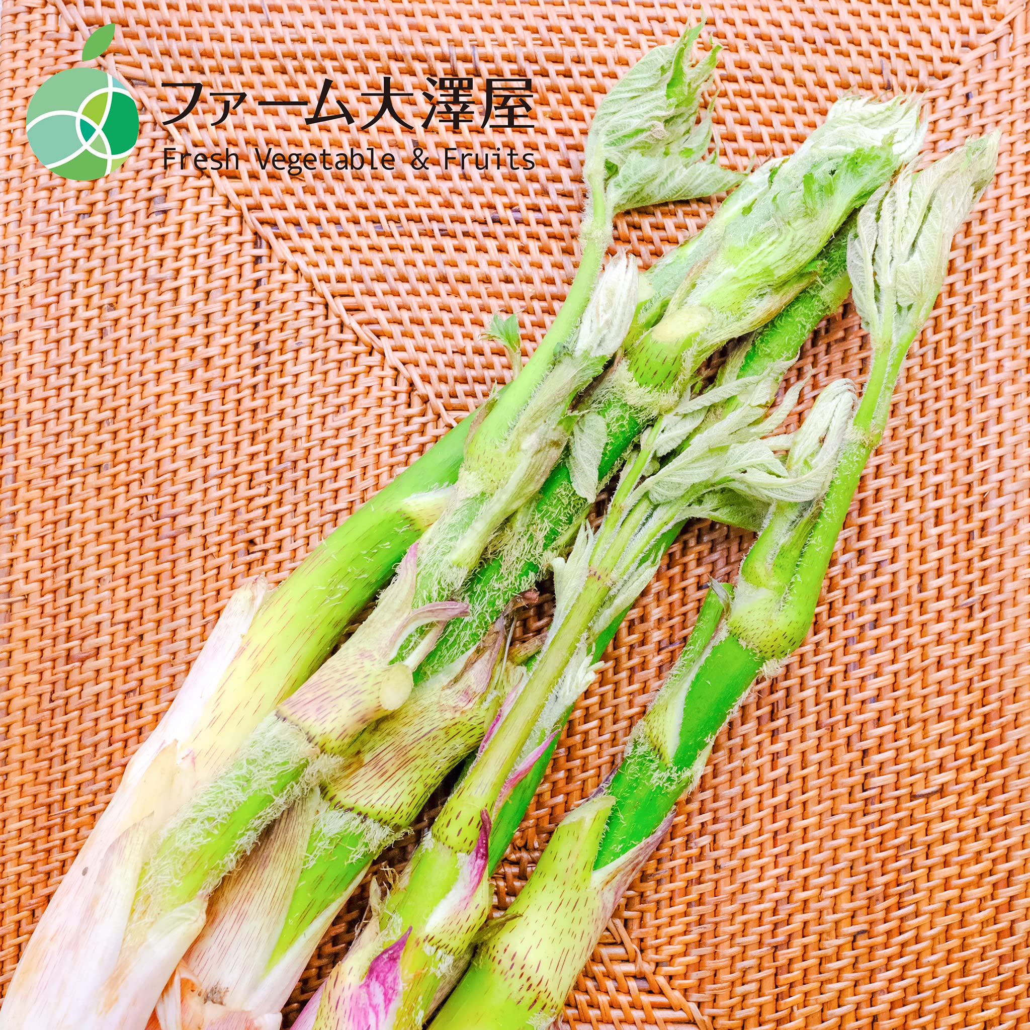 新鮮♪北海道産✱天然物✱山ウド 5キロ 61wVdiRfIXL._AC_SY200_QL15_.jpg