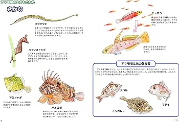 91DzLlDwq8L._AC_UF350,