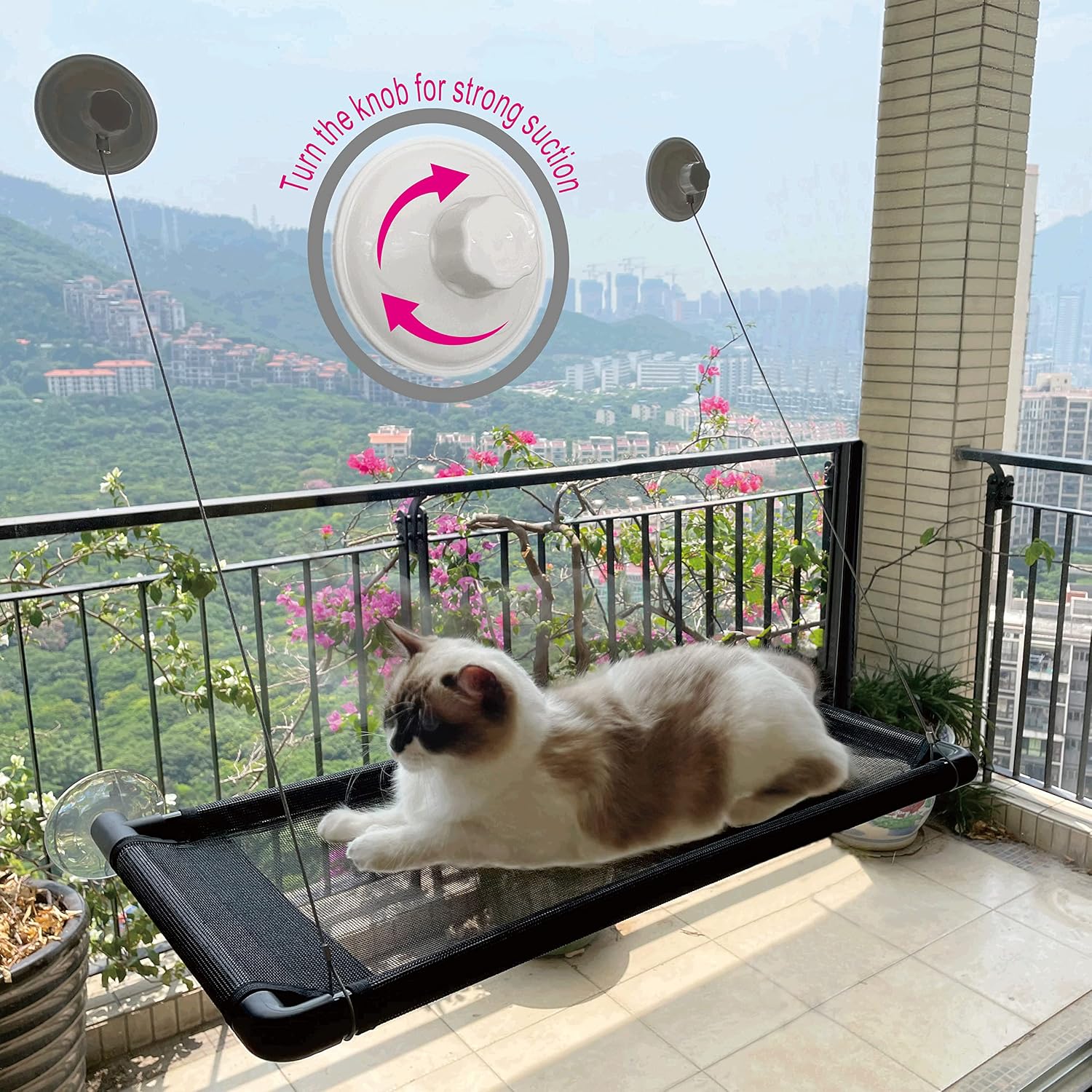 Catogpet, Relax Your Cat, Ease Anxiety, Cat Window Perch | Large 29" x 16" and Vacuum Suction Cup | Cat Window Bed, Cat Window Seat, Cat Hammocks for Indoor Cats, Cat Window Hammock, Cat Bed, Pet Bed