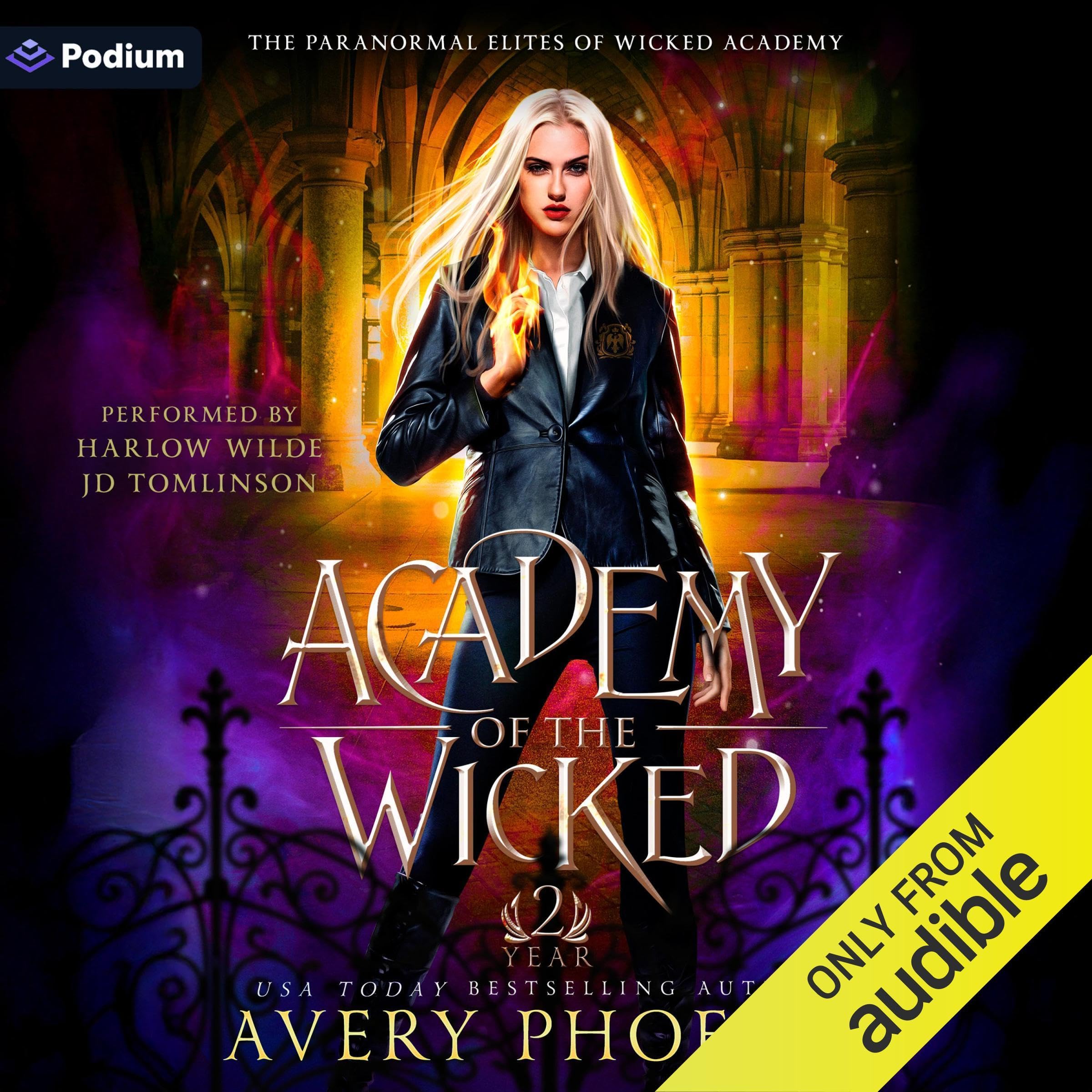 Cover art for Academy of the Wicked: Year Two
