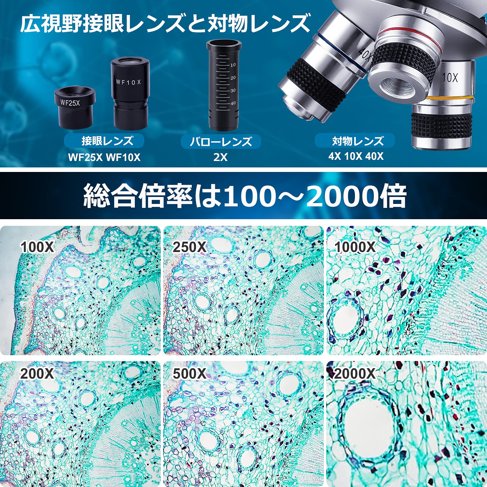 ❤色収差を低減するプロ用レンズ搭載❣最大1000倍率の本格派♪❤単眼生物顕微鏡 Amazon | 顕微鏡 小学生 100～2000倍 色収差対物レンズ 広視野