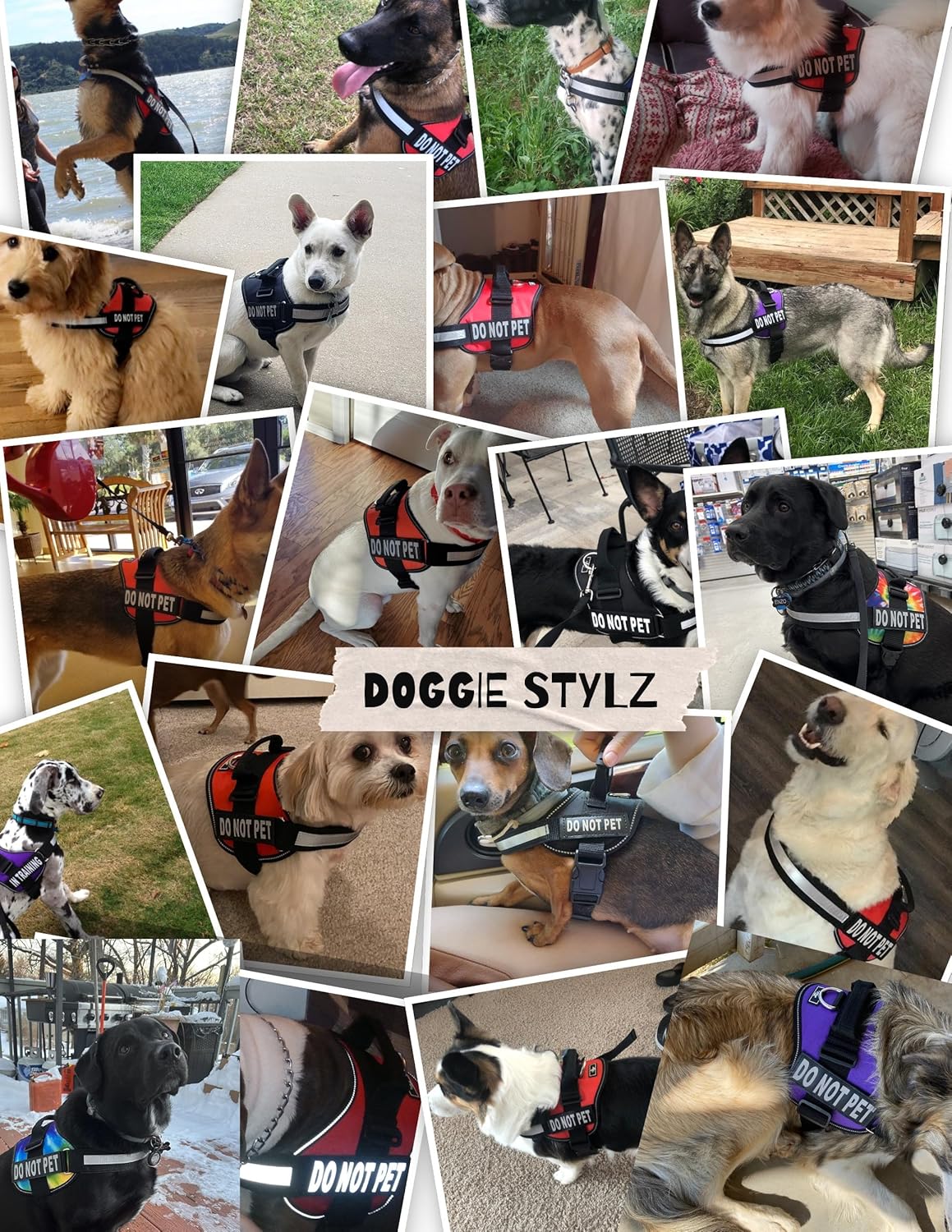 Doggie Stylz Dog Harness with DO NOT PET Patches – No Pull Service Dog Vest and Service Animal Vest for Dogs – Adjustable Gentle Leader for Dogs – Reflective, Heavy-Duty for Training and Walking