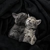 Vista 305 de Utopia Bedding - Manta de vellón de lujo, mullida, antiestática; manta de suave microfibra de 8.8 oz/yd² (300 g/m²) para cama; tamaño individual