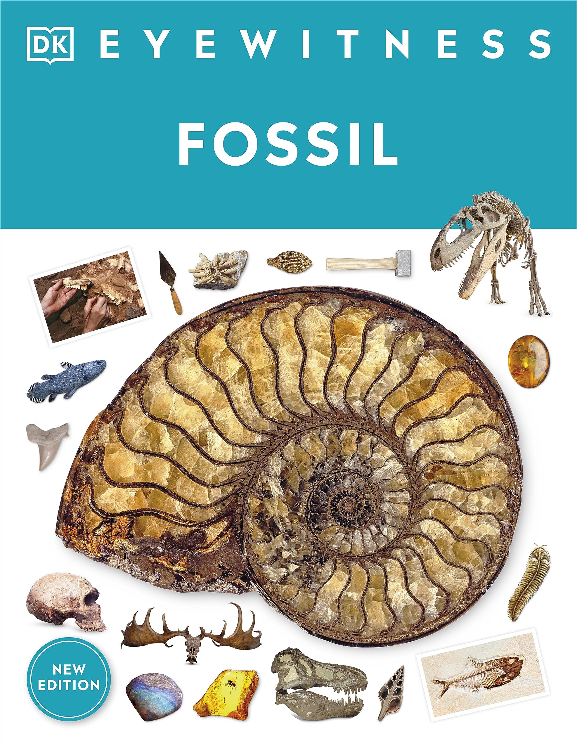 Eyewitness Fossil
