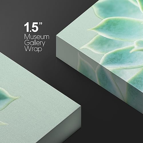 Miniatura 5 de wall26 Cuadro en lienzo para pared, planta suculenta con gota de agua, arte moderno para el hogar con envoltura de galería, listo para colgar, 24 x