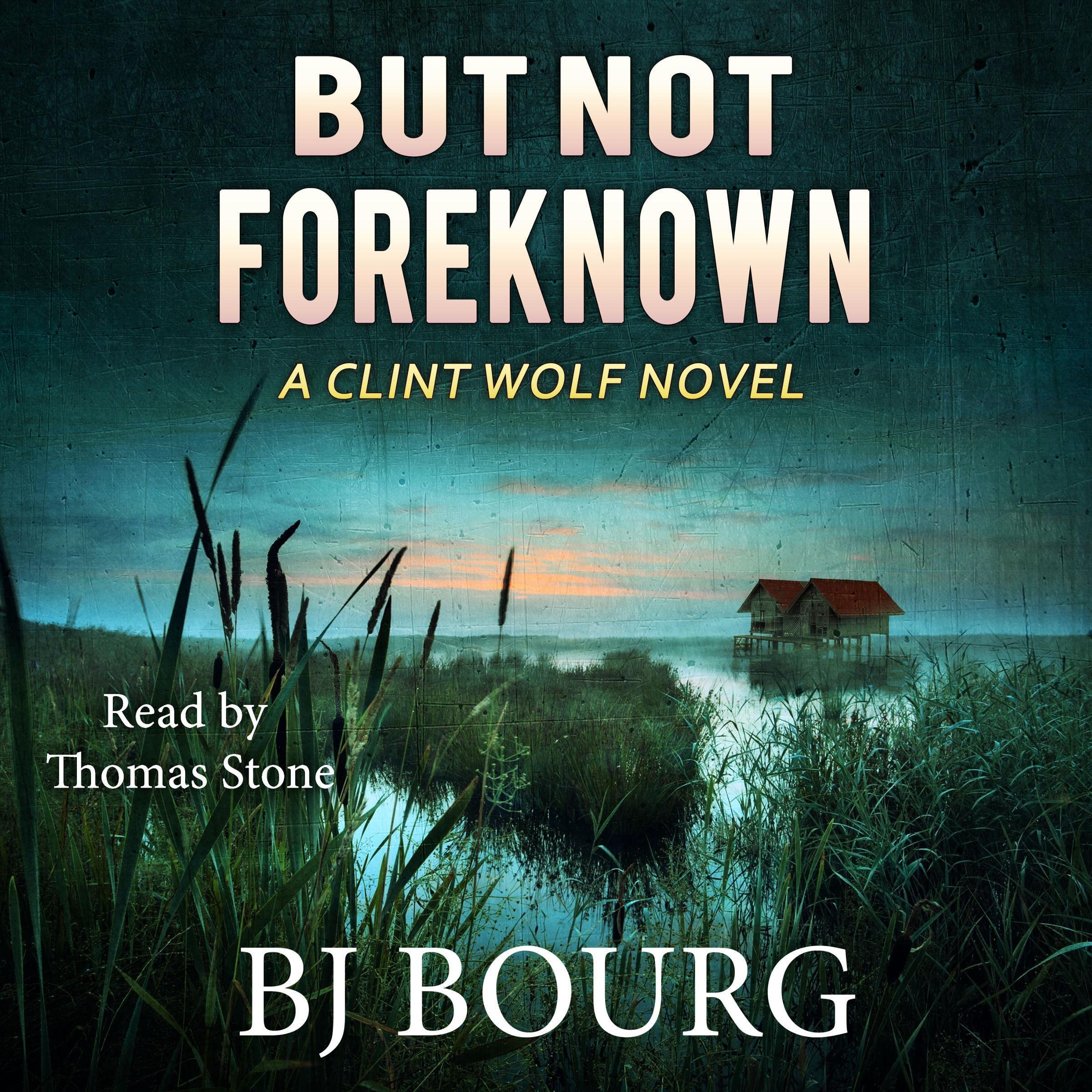 Cover art for But Not Foreknown
