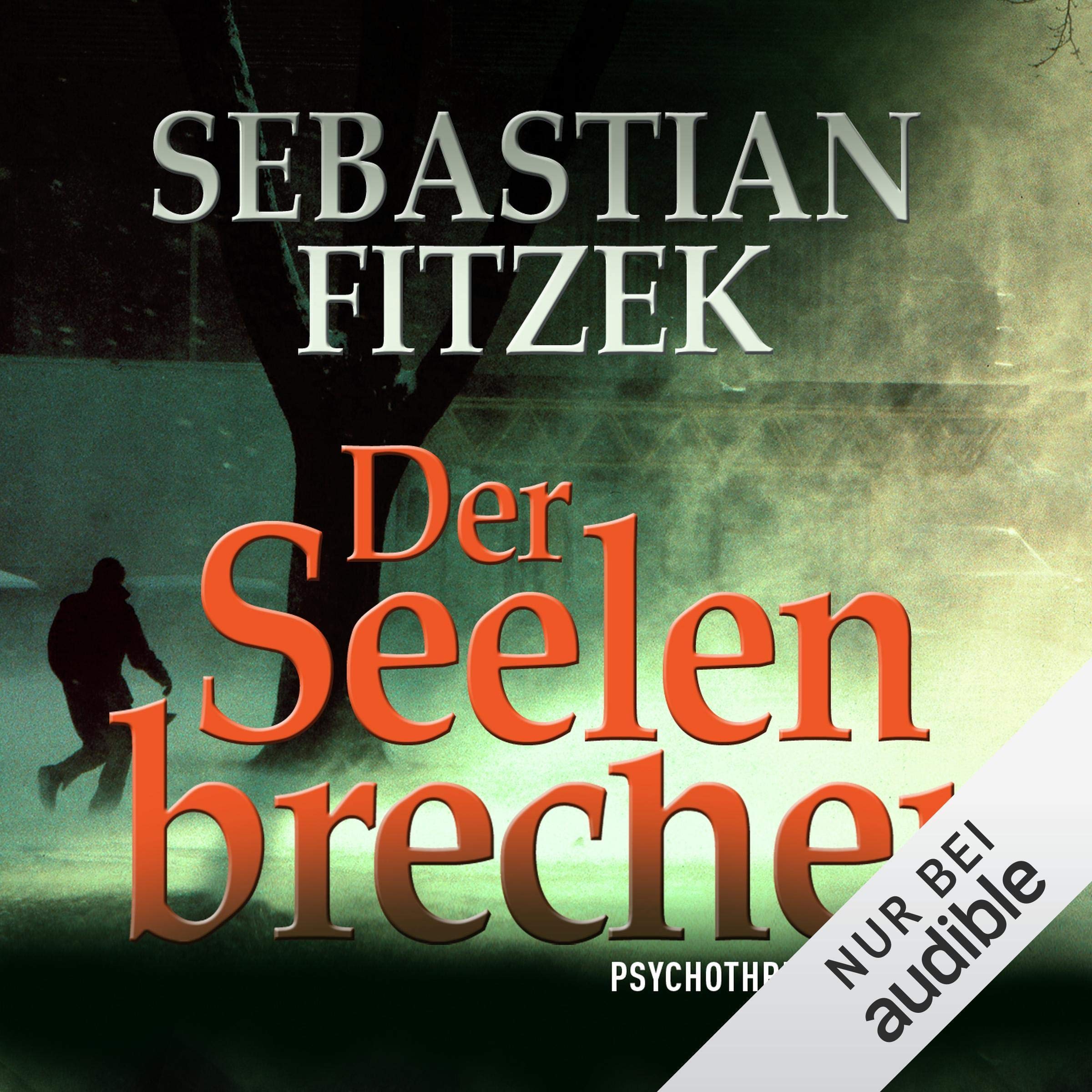 Cover art for Der Seelenbrecher