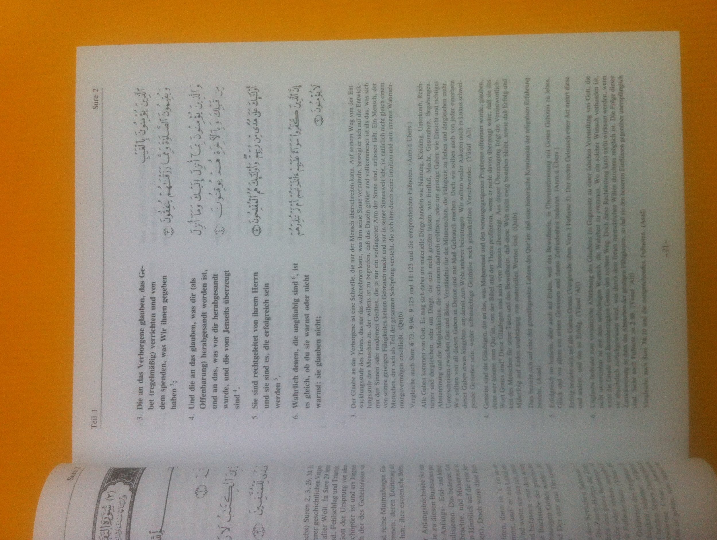 Die Bedeutung des Korans, Band 3