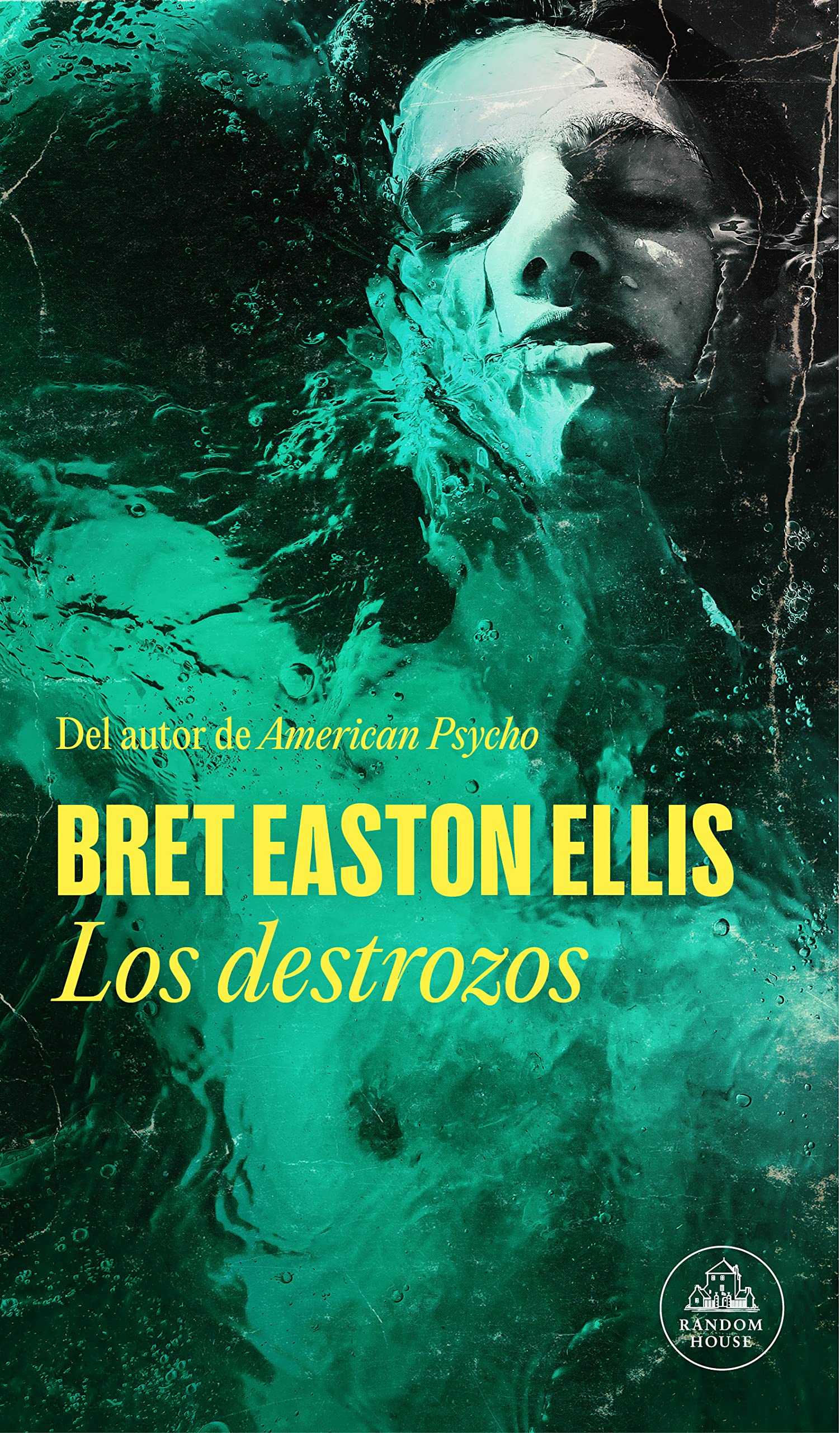 Los destrozos (Spanish Edition)