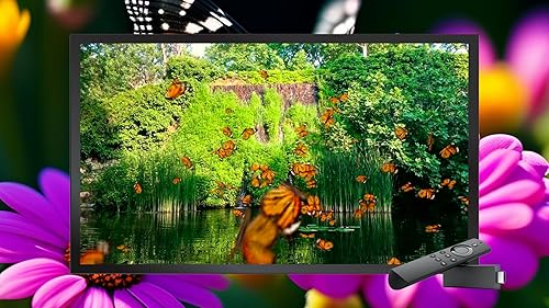 Lullaby Wings-Butterfly Lullaby - músicas calmantes para um sono sem estresse, meditação e relaxamen